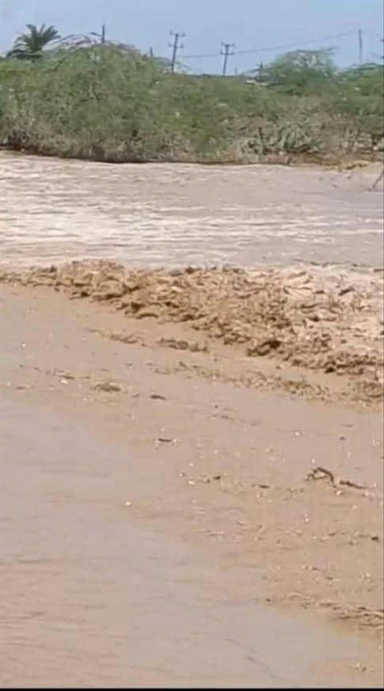 سيول مفاجئة تقطع الطريق الدولي في شقرة وتوقف حركة المركبات