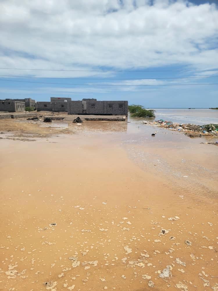 مناشدة عاجلة لإنقاذ شقرة من مخاطر السيول