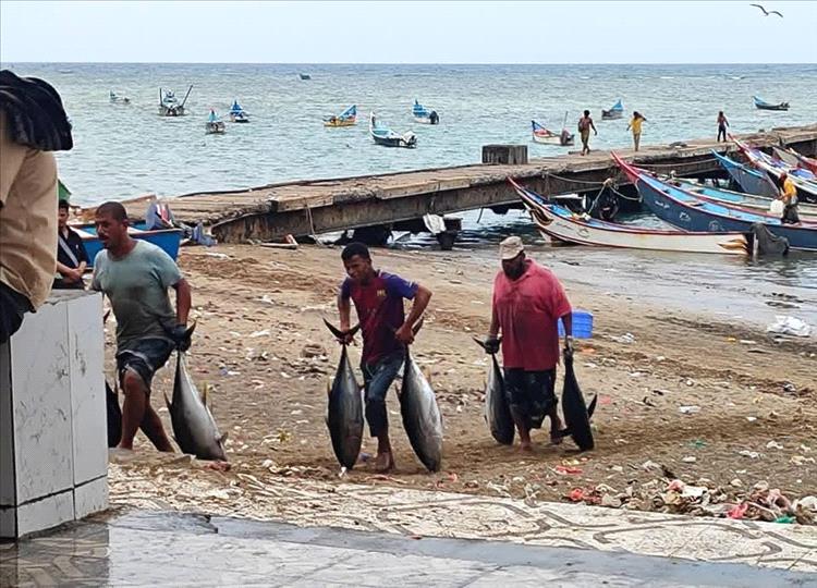 شقرة… حين يتحول البحر إلى حياة يومية وأمل لا ينقطع