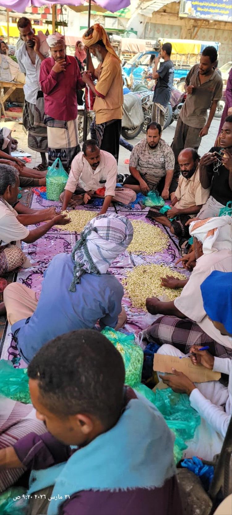 رائحة لا تغيب.. الفل اللحجي يقاوم الاندثار ويحفظ هوية الحوطة