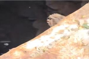 تفاصيل صادمة في تعز.. العثور على طفلين مفقودين داخل بئر بعد أيام من اختفائهما