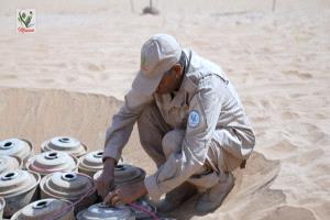 مسام” ينتزع أكثر من 8 آلاف لغم وذخيرة خلال فبراير في أعلى حصيلة شهرية منذ ثلاث سنوات