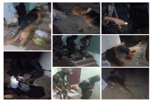 إدارة مكافحة المخدرات بأبين تواصل تكثيف نزولاتها الميدانية لتعزيز الوقاية وحماية المجتمع