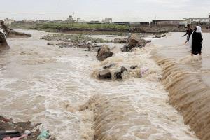 الفاو تحذر: فيضانات تهدد 400 ألف هكتار من الأراضي الزراعية وملايين الماشية في اليمن