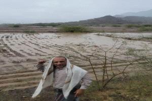 أمطار غزيرة وسيول تضرب منطقة الكدحة غرب تعز