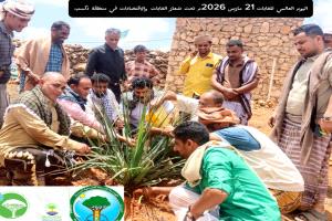 برعاية محافظ سقطرى.. فعالية لزراعة الأشجار في دكسم احتفاءً باليوم العالمي للغابات