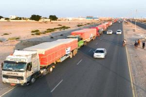 بدعم سعودي .. استمرار توزيع 17100 سلة غذائية لمنتسبي التربية والتعليم في العاصمة المؤقتة عدن