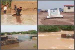 كارثة مفاجئة تضرب ريف المخا .. سيول جارفة تخلف ضحايا وأضرار واسعة في النجيبة