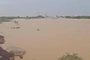 سيول جارفة تقطع خط حضرموت – المهرة في الشحر وتوقف حركة السير