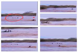 بين هدير السيول.. شجاعة عبدالرحمن الكشميمي تنقذ عائلة كاملة