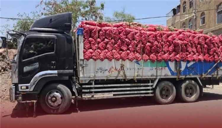 البصل اليمني والمزارعون بين الخسائر وغياب الدور المؤسسي