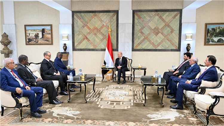 رئيس مجلس القيادة يستقبل وزير الدولة للشؤون الخارجية بجمهورية موريتانيا الاسلامية