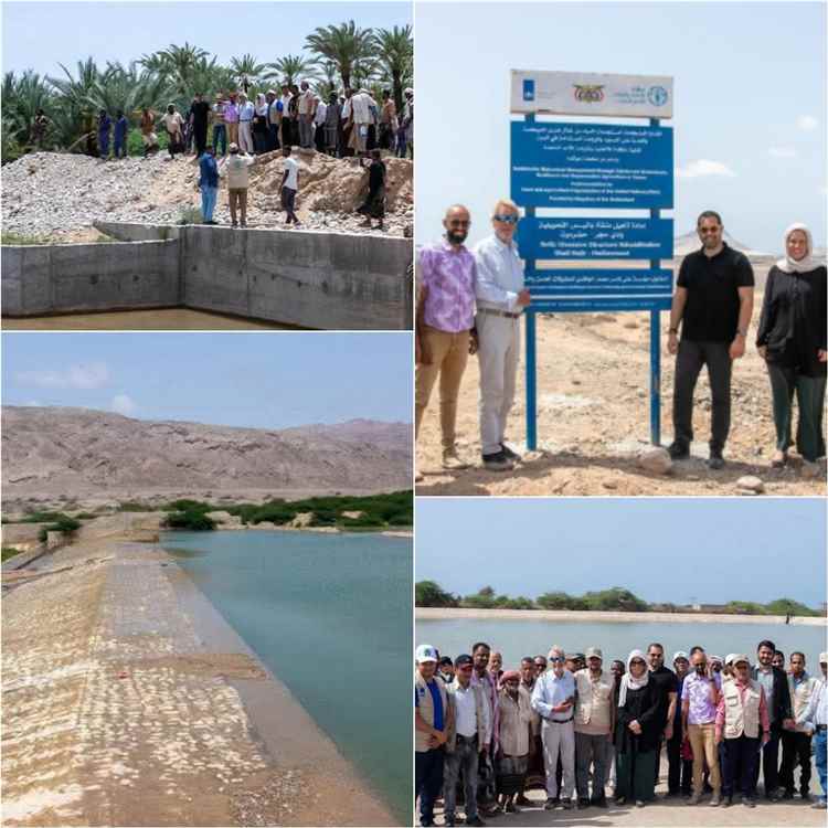 هولندا تعزز التنمية المستدامة والأمن الغذائي في وادي حجر بحضرموت