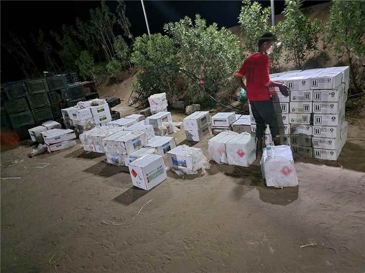 للمرة الثالثة خلال شهر.. قوات الأمن الوطني بلحج تضبط شحنة مبيدات حشرية تالفة ومهربة