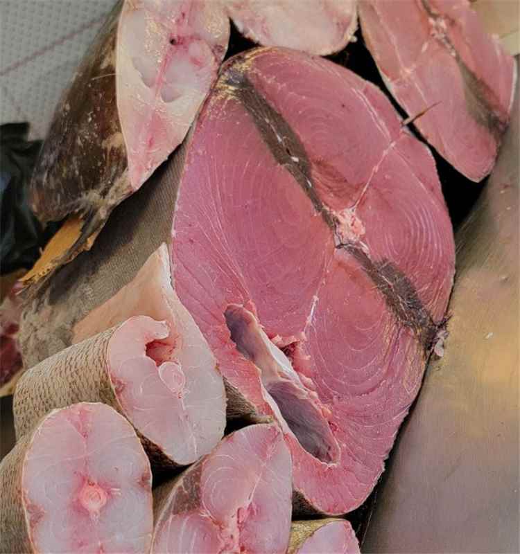 أسعار الأسماك في عدن