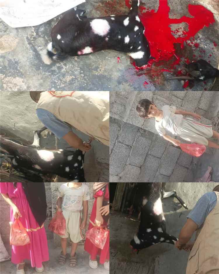 جمعية التراحم في لحج توزع أضاحي عيد الأضحى على عدد من ألاسر  في منطقة العند بدعم من اتحاد الجمعيات والمؤسسات