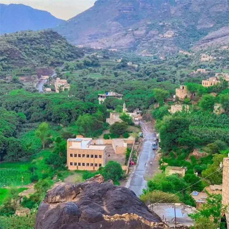 استشهاد رضيع عمره 14 يومًا وإصابة طفل بقصف حوثي على منطقة الضباب في تعز (صورة)