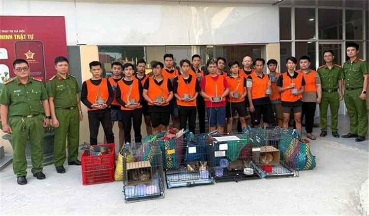فيتنام.. عصابة تصطاد حوالي 2700 قطة لبيع لحومها