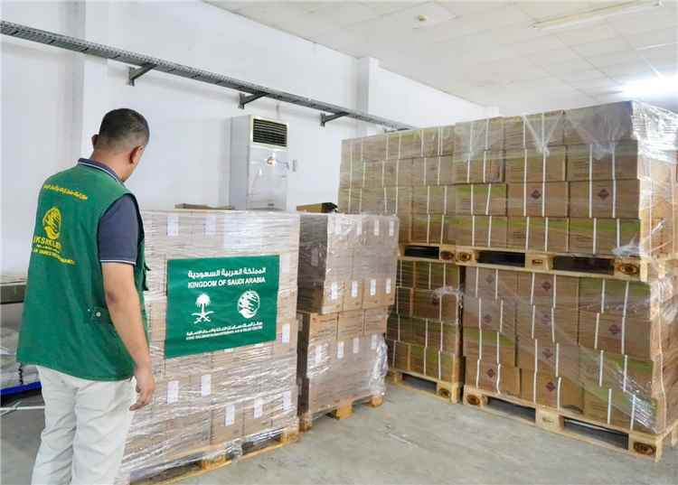 البرنامج الوطني للإمداد الدوائي يتسلّم ست شاحنات أدوية ومستلزمات طبية