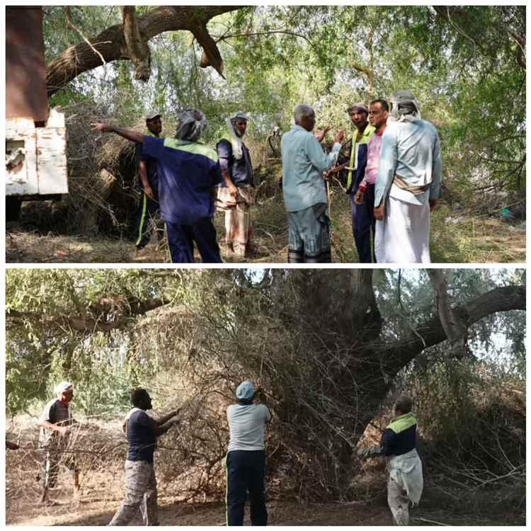 مدير عام النظافة بأبين يدشن اعمال إعادة تأهيل النفق الأخضر بمدخل العاصمة زنجبار