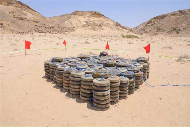 قائد محور الغيضة اللواء مخبال يتفقد جاهزية اللواء 123 مشاة في مديرية حات بالمهرة ويشرف على إتلاف 429 لغما