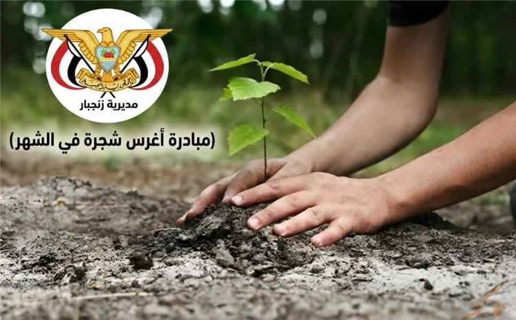 السلطة المحلية بزنجبار تطلق مبادرة «اغرس شجرة في الشهر» لمكافحة التصحر وتعزيز الغطاء النباتي