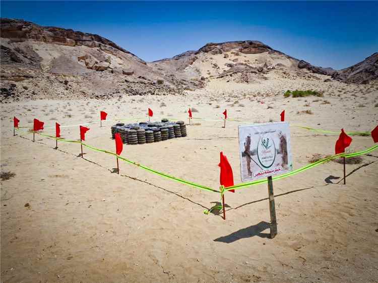 المهرة .. مشروع «مسام» يتلف 555 قطعة من الألغام والمخلفات الحربية