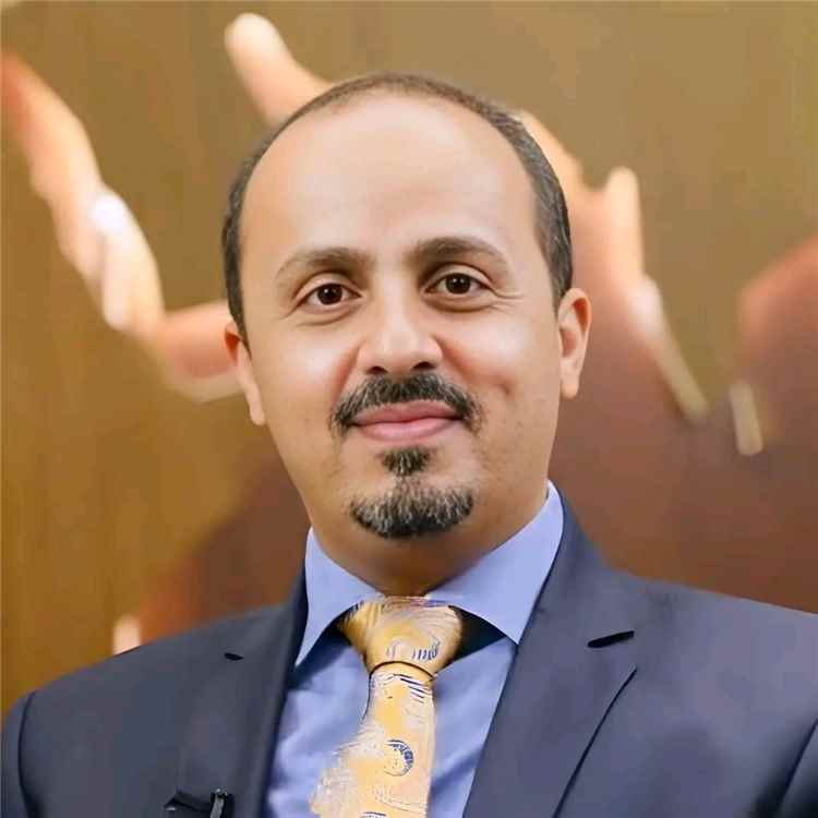 الإرياني: تعزيزات العمالقة ودرع الوطن إلى تعز والساحل الغربي تؤكد جاهزية القوات المسلحة