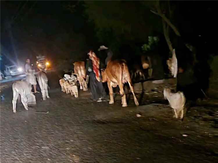 وزير حقوق الإنسان: استهداف المدنيين في تعز جرائم تستوجب المساءلة