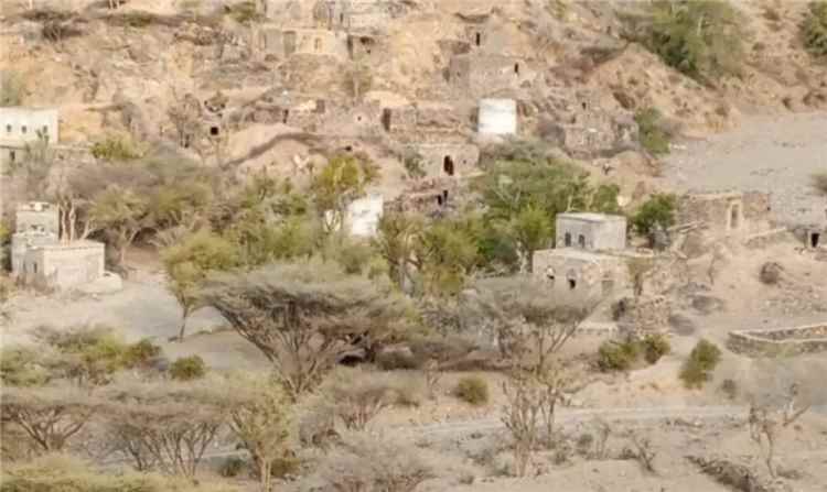 جريمة جديدة.. قصف حوثي يستهدف رعاة الأغنام في المسيمير ويخلف شهيدًا وجريحًا