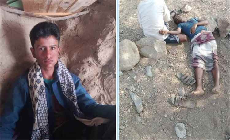 قناص حوثي يقتل شابين أثناء رعيهما الأغنام في لحج