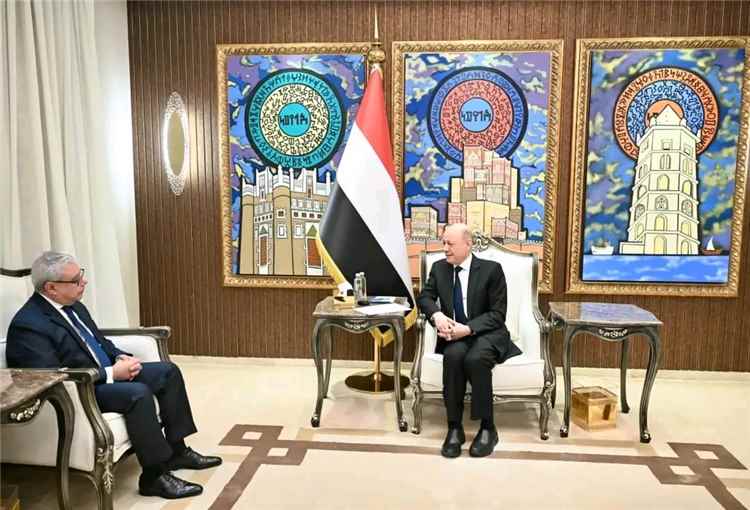 الرئيس العليمي يشيد بالموقف المصري ويؤكد: أمن باب المندب مصلحة يمنية ومصرية ودولية