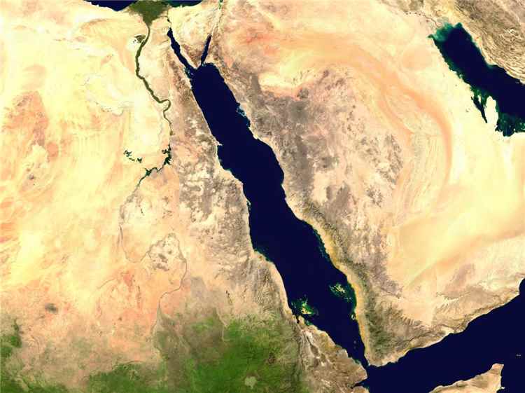 صحيفة: القاهرة ترفض مقترحاً حوثياً للتنسيق الملاحي في البحر الأحمر