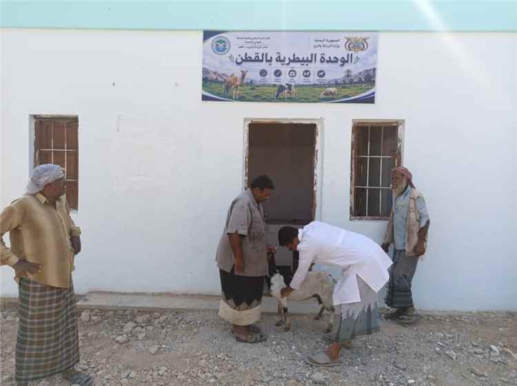 الوحدة البيطرية بمديرية القطن تستأنف استقبال الحالات المرضية ضمن نشاطها اليومي