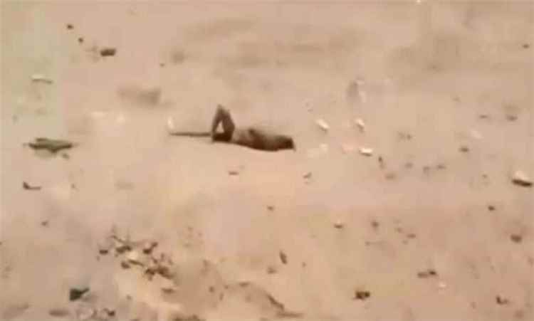 الحوثيون يتركون جرحاهم وجثث قتلاهم في مواقع المواجهات جنوب مأرب