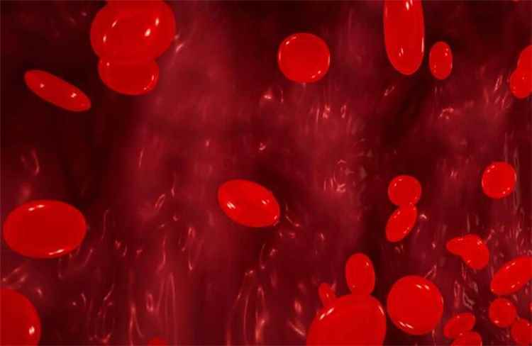 دراسة كندية تكشف آلية تسبب الهيبارين بجلطات دموية خطيرة لدى بعض المرضى