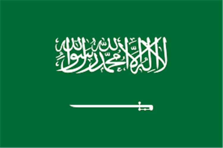 السعودية: الالتزام بالقانون الدولي يمثل ركيزة أساسية لصون السلم والأمن الدوليين