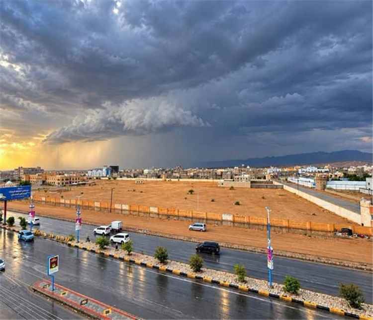 المحافظ بن الوزير يوجه بتقييم آثار الأمطار والسيول ورفع مستوى الجاهزية في شبوة