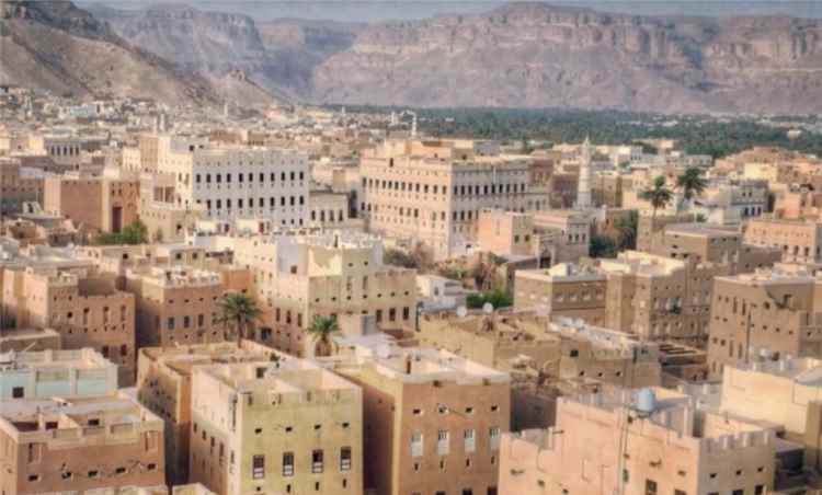 لقاء بتريم يناقش الحد من استخدام مياه الصرف الصحي في ري المزروعات