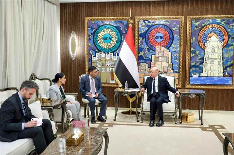 العليمي: القوات المسلحة قادرة على استعادة المبادرة وبسط سيطرتها على كامل التراب الوطني