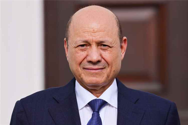 العليمي يؤكد قدرة الجيش على تحرير كامل الأراضي اليمنية