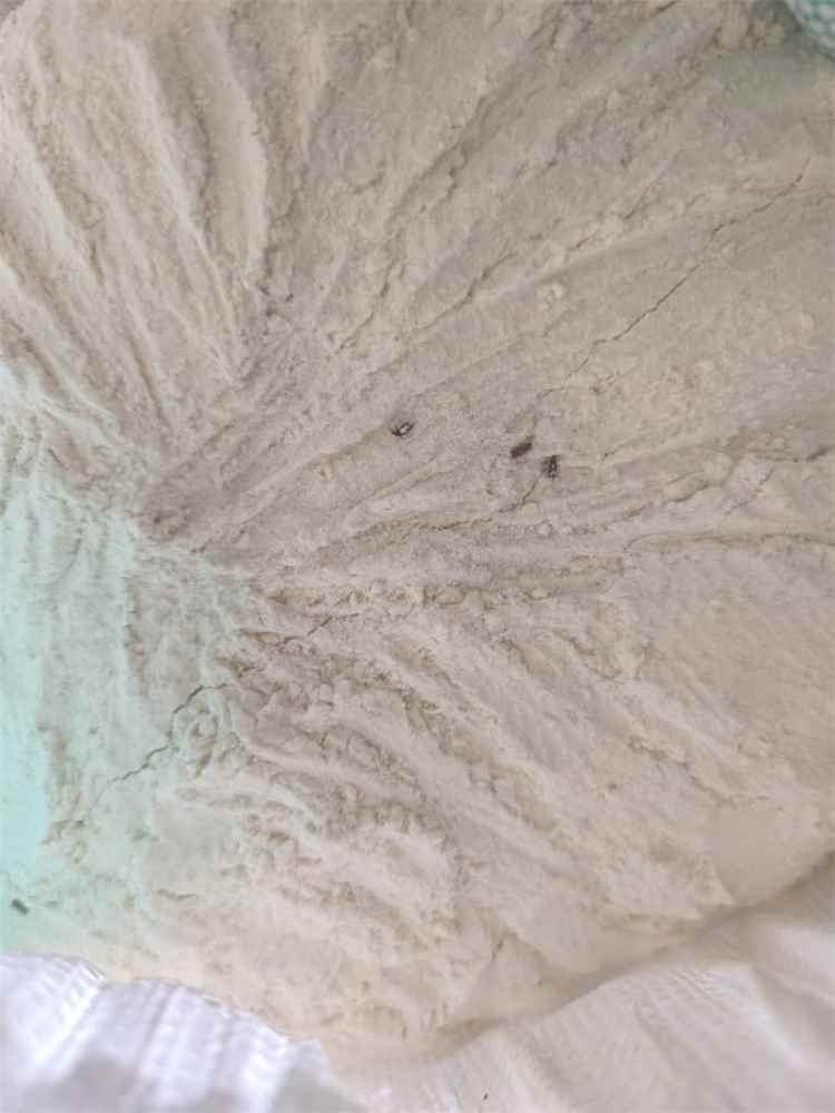 كارثة صحية في أحور.. بيع مواد غذائية تالفة تهدد حياة المواطنين