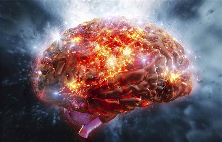 دراسة تكشف مرحلتين رئيسيتين لتغيرات الدماغ خلال حياة الإنسان