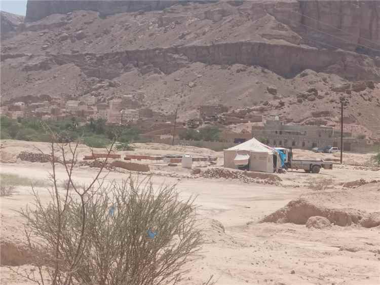 ناشطون يطالبون بإبعاد خلايا النحل عن الخط العام والأراضي الزراعية في دوعن