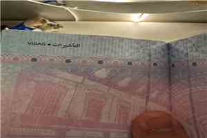 "خطأ بصري" في جواز السفر البيومتري السوري يشعل مواقع التواصل الاجتماعي