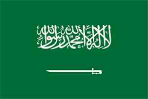 السعودية: الالتزام بالقانون الدولي يمثل ركيزة أساسية لصون السلم والأمن الدوليين