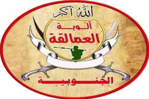 ألوية العمالقة الجنوبية تعلن إحباط هجمات حوثية وتدمير أنساق هجومية في جبهة كهبوب (بيان)