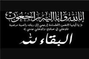 وزير التربية والتعليم (العبادي) يُعزي في وفاة الأكاديمي الدكتور فضل علي ناجي