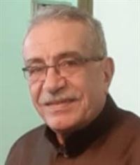 محمد المفلحي