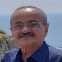 علي عوض ناصر